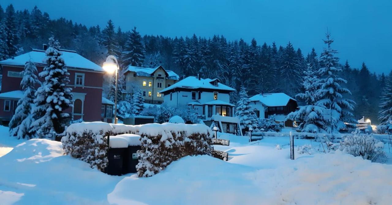 Апартаменты Haus Stefanie Elvire Альтенберг Экстерьер фото